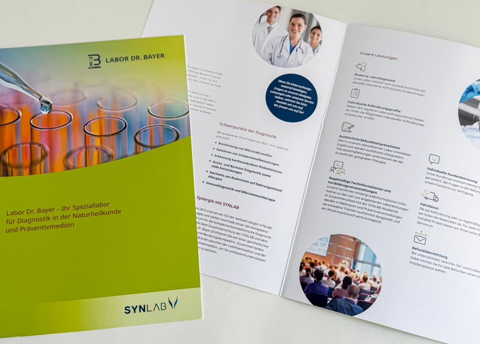 Printdesign: Wissenschaftliche Broschüre und Infoflyer